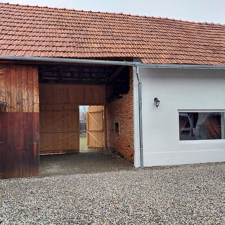 Casuta De Sub Munte Cartisoara Villa Екстериор снимка